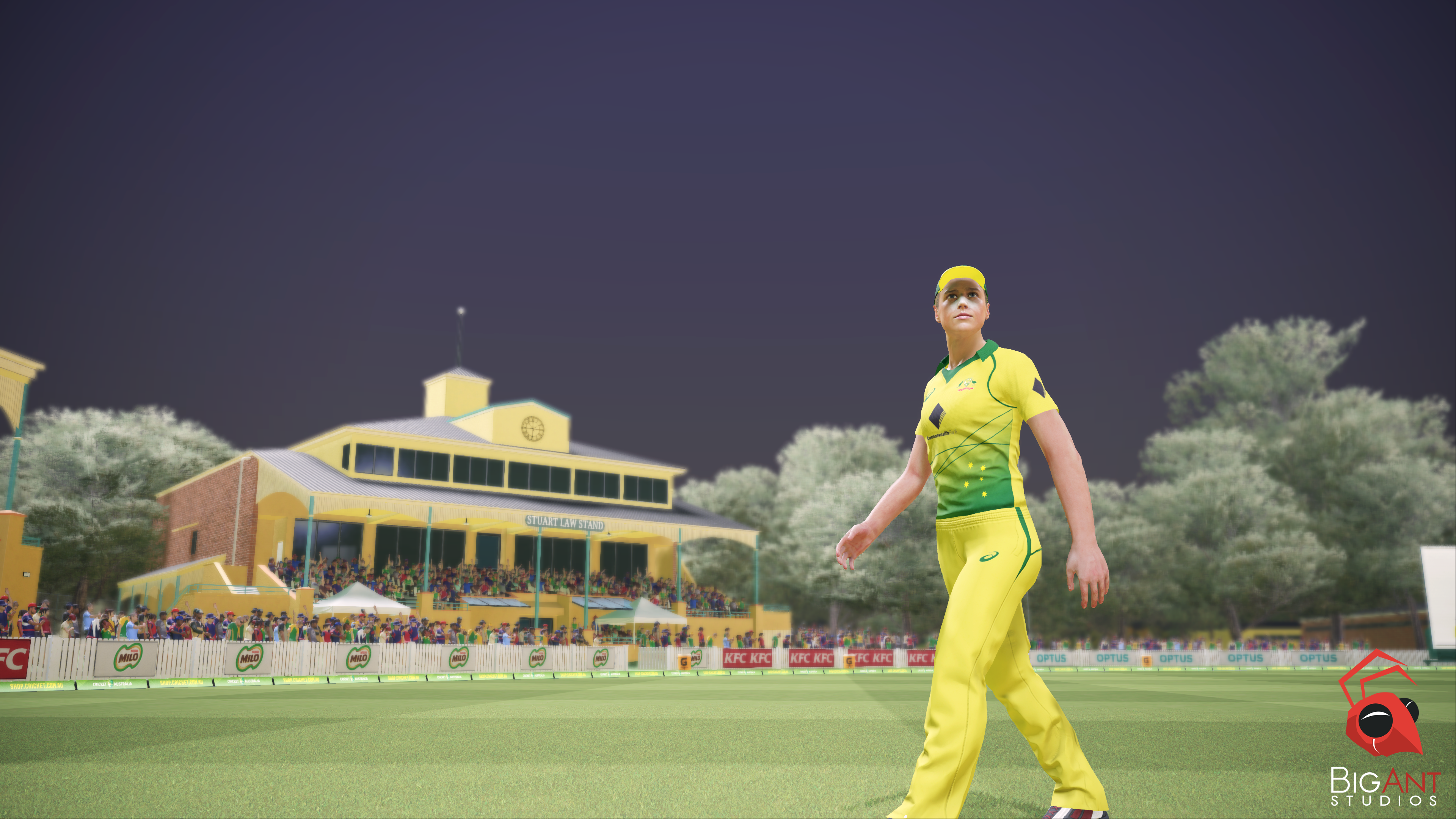 ashes cricket 2019 game